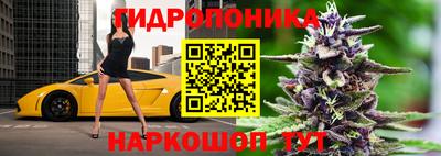 прущие крисы Свободный