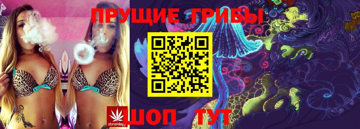 Новосибирск  Галлюциногенные грибы Cubensis  Вход с VPN  Псилоцибиновые грибы прущие грибы 